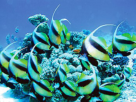 Ultimate Egypt - Sharm Ultimate Egypt - Sharm